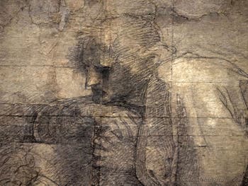 Raphael, Preparatory Cartoon of the Vatican School of Athens, at Ambrosiana Gallery Pinacoteca in Milan in Italy