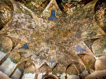 Leonardo da Vinci Frescoes of the Sala delle Asse, the Axis Hall in the Castello Sforzesco in Milan in Italy