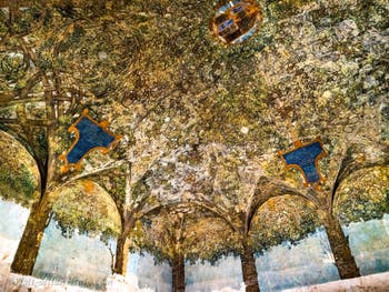 Leonardo da Vinci Frescoes of the Sala delle Asse, the Axis Hall in the Castello Sforzesco in Milan in Italy